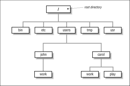 File System Tree