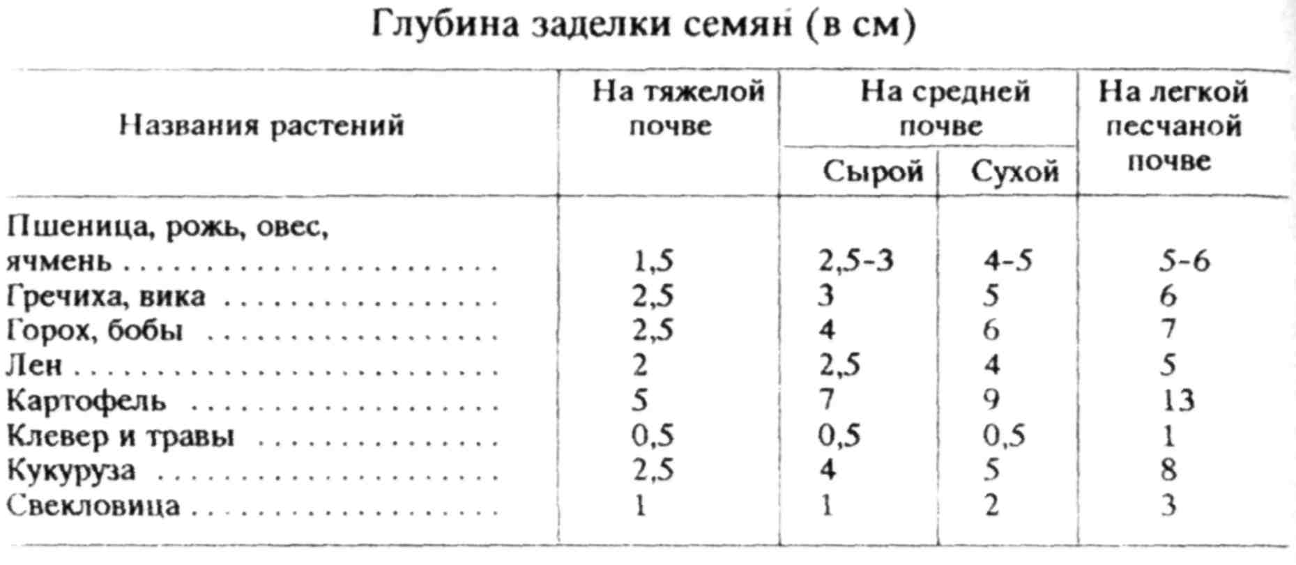 Схема посева пшеницы