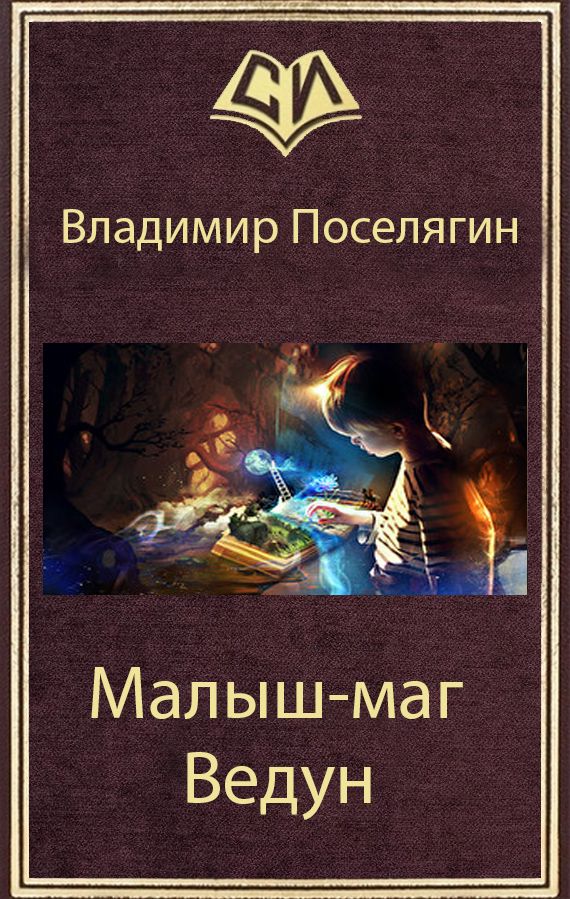 Читать книги поселягин маг. Книга магов. Обложки книг про попаданцев. Попаданец маг.