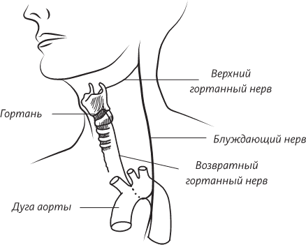 Гортанный